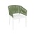 WHITE OLIVE GREEN 