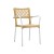 TEAK 